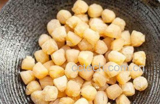 干贝的功效与作用 干贝的营养价值-0