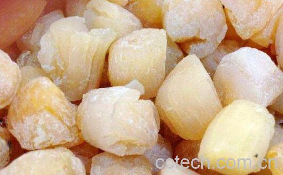 干贝的功效与作用 干贝的营养价值-1