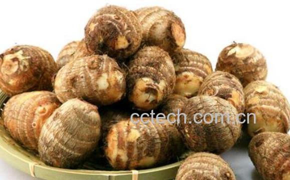 芋头手痒怎么处理 刮芋头手痒怎么办-0