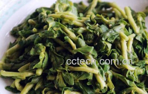 救心菜和养心菜的区别 救心菜的功效与作用-1