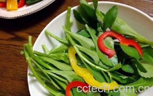 救心菜和养心菜的区别 救心菜的功效与作用-0