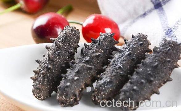 海参的功效与作用 吃海参的好处-0