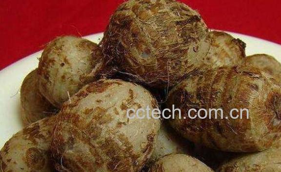 芋头为什么手痒 芋头手痒怎么处理-1