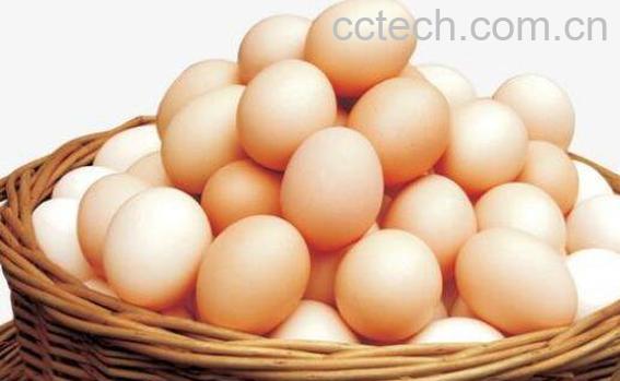 雌性激素食物有哪些 雌性激素高的食物排行-1