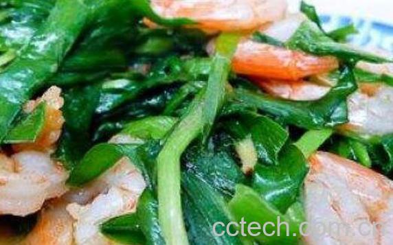 韭菜壮阳有科学依据吗 韭菜怎么吃壮阳-1