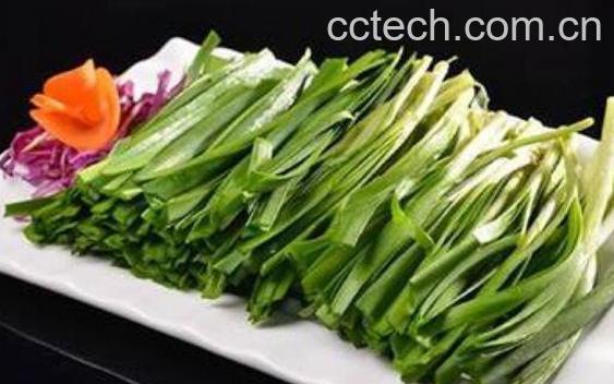 什么人不能吃韭菜 韭菜不能和什么一起吃-0