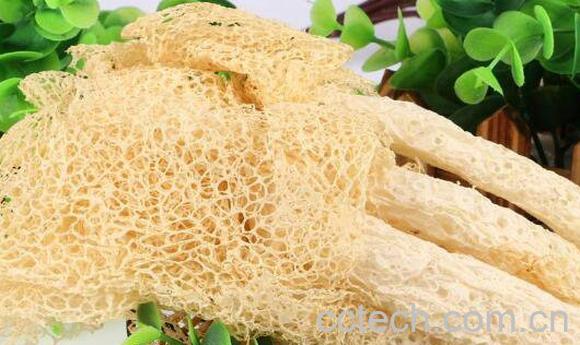 竹荪的功效与营养价值-1