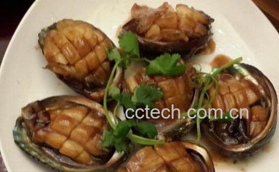 鲍鱼的营养价值及功效与作用-1