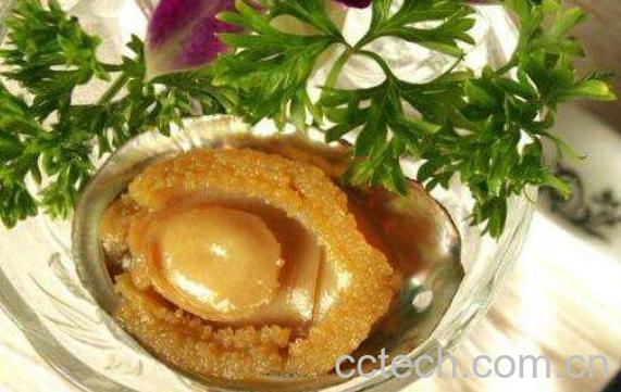 鲍鱼的营养价值及功效与作用-0