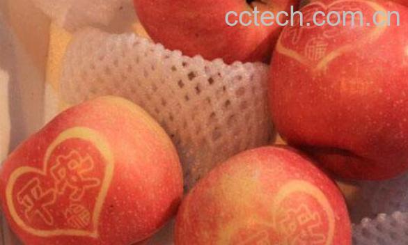 平安夜吃什么 适合平安夜吃的东西-1