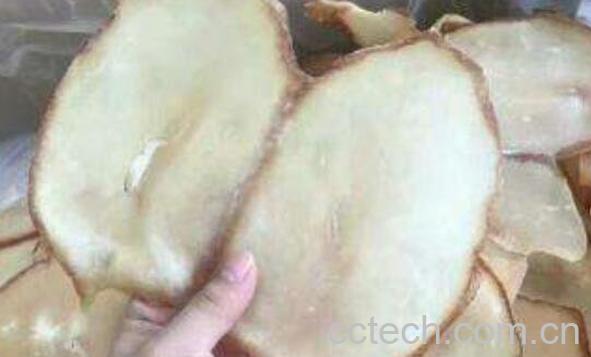 干响螺片的功效与禁忌-0