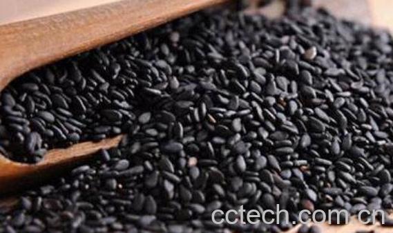 黑芝麻怎么吃对头发好 吃黑芝麻能长头发吗-1