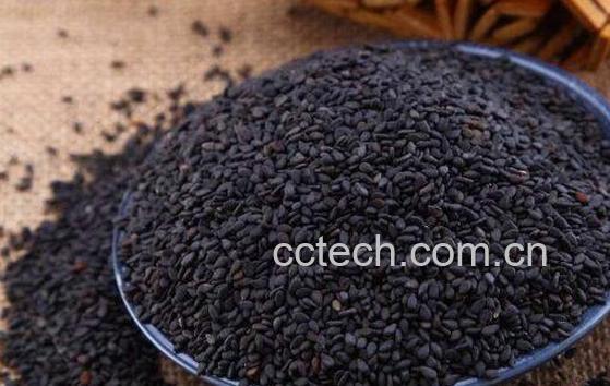 黑芝麻怎么吃对头发好 吃黑芝麻能长头发吗-0