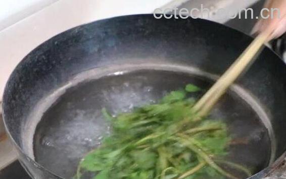 马齿菜煮水喝的功效 马齿菜煮水洗脸的功效-0