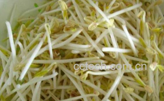 如何生产豆芽 豆芽的生产方法-1