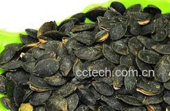 丝瓜子的功效与作用及药用价值-0