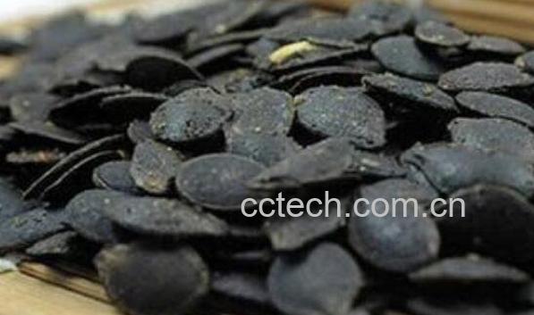 丝瓜子的功效与作用及药用价值-1