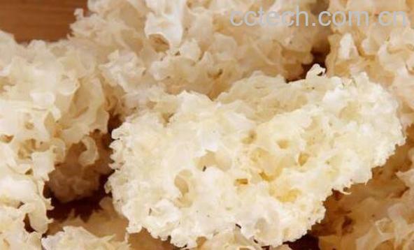 银耳为什么不能天天吃 吃银耳的禁忌-1