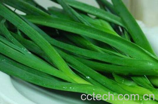 孕妇可以吃蒜苗吗 孕妇吃蒜苗的好处和坏处-1