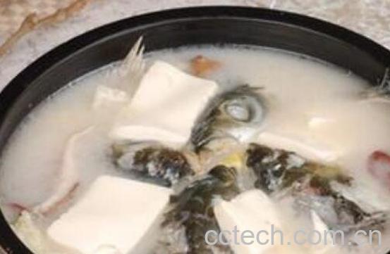 豆腐怎么做好吃 豆腐的家常做法教程-1