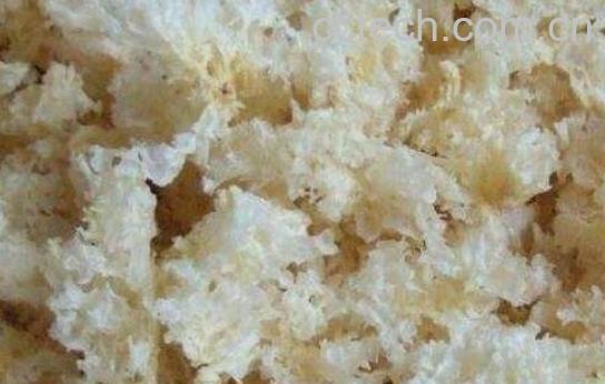  银耳不能和什么一起吃 银耳和什么相克-0