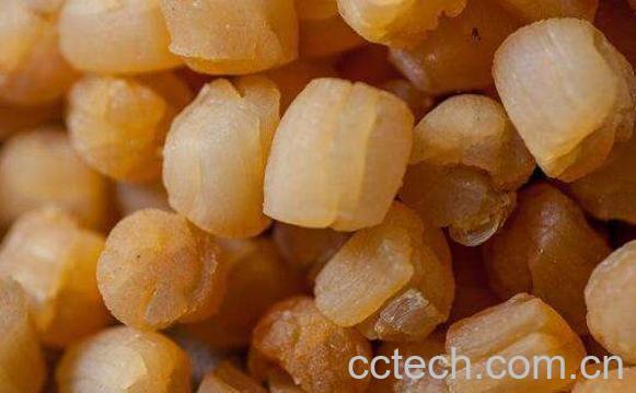 瑶柱的做法及功效-0