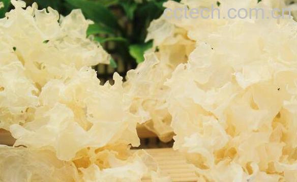  银耳不能和什么一起吃 银耳和什么相克-1