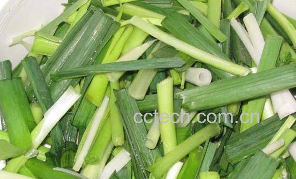 蒜苗的功效与作用 吃蒜苗有什么好处-1