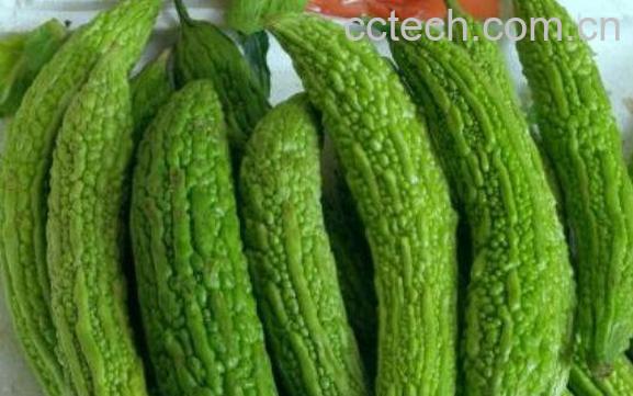 苦瓜怎么吃 苦瓜的做法教程-0