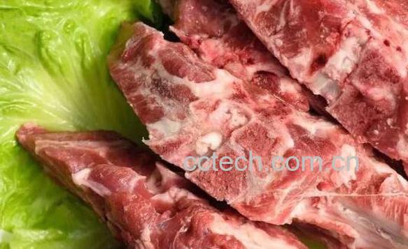 狗的脊骨的功效与作用-0