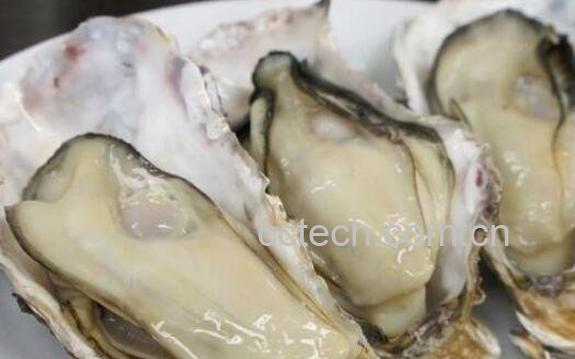 生蚝怎么吃 生蚝的功效-0