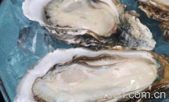 生蚝怎么吃 生蚝的功效-1