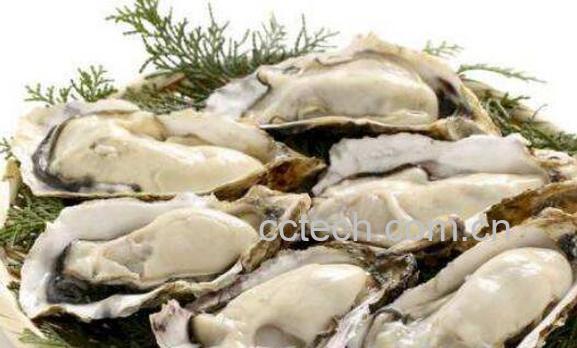 生蚝和牡蛎有什么区别-1