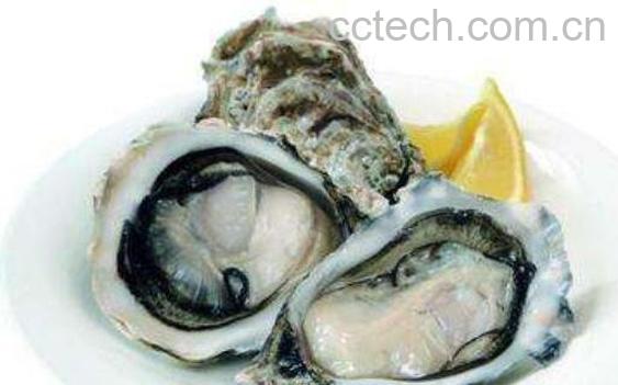 生蚝和牡蛎有什么区别-0