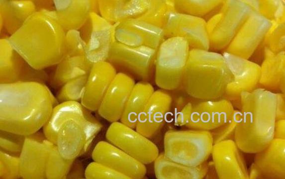 玉米芽的营养价值与功效-1