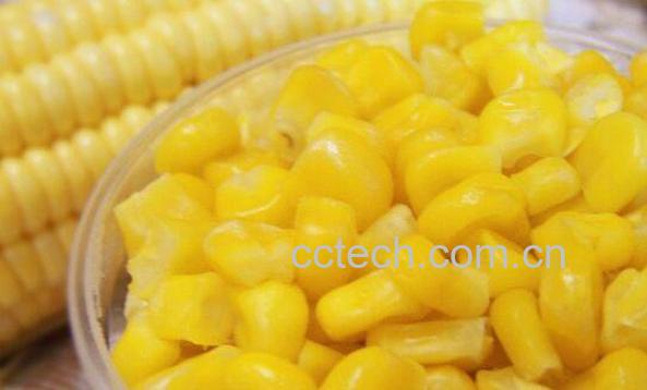 玉米芽的营养价值与功效-0