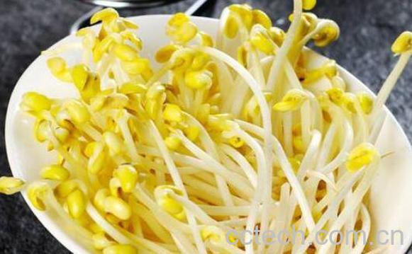  怎样生黄豆芽 自制黄豆芽的步骤教程-0