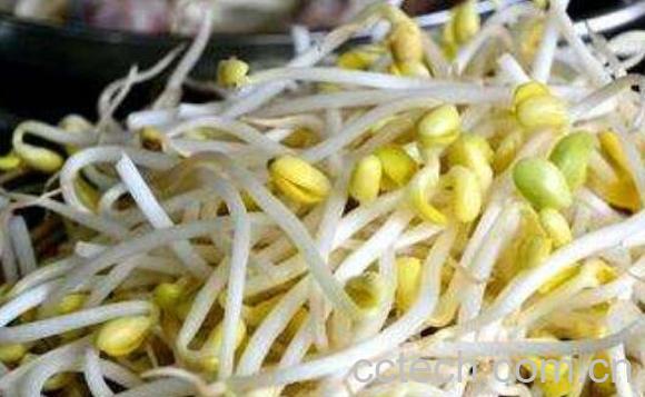  怎样生黄豆芽 自制黄豆芽的步骤教程-1