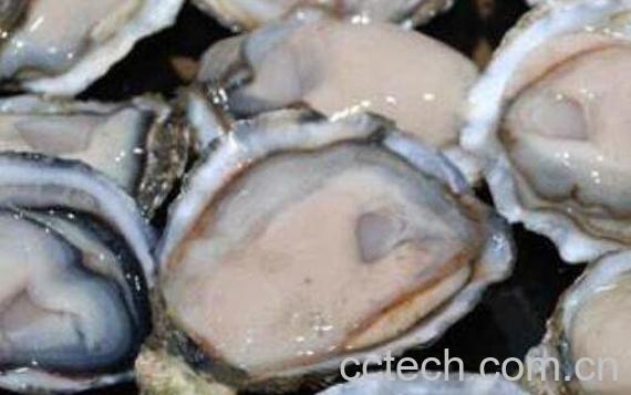 女人吃生蚝的好处和坏处-0