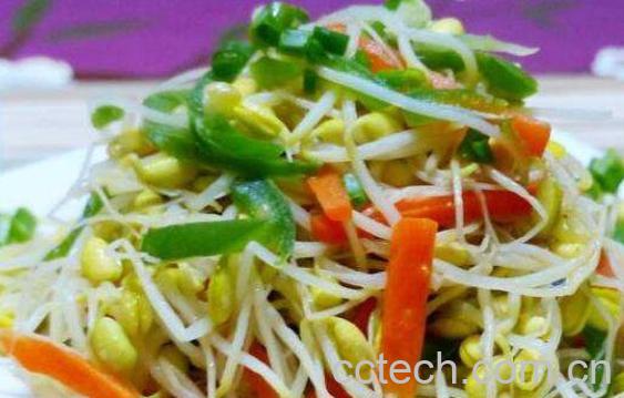 豆芽菜怎么炒 素炒豆芽菜的步骤教程-0