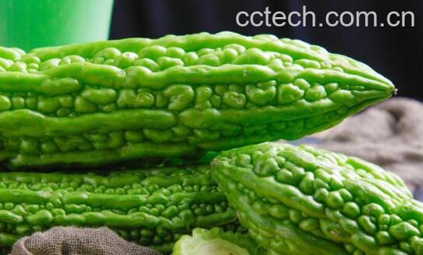 苦瓜的功效与作用有哪些-1