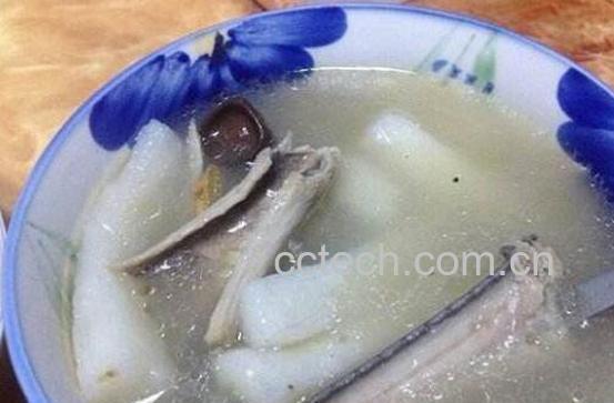 蛇汤的功效与禁忌-1