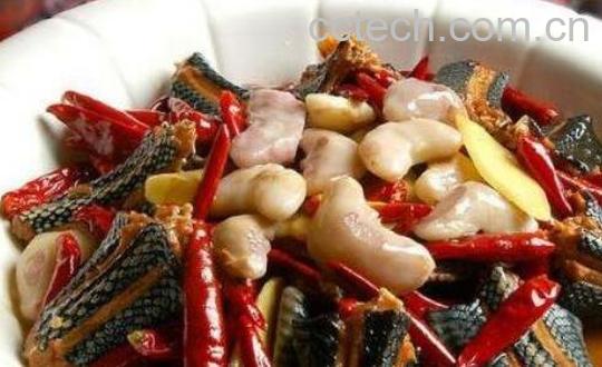 蛇肉的功效与禁忌 吃蛇肉有什么好处-0