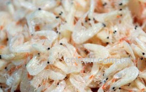 含钙高的食物有哪些 吃哪些食物能补钙-0