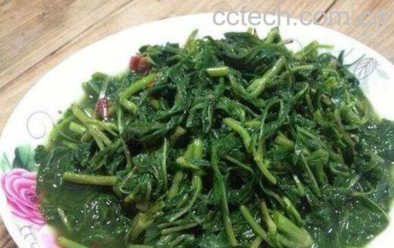 苦斋菜的功效与作用-1