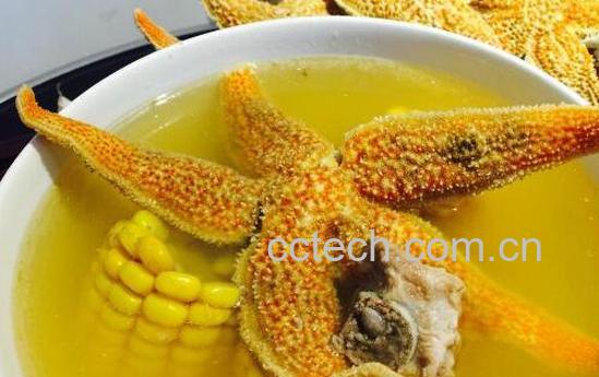 海星煲汤有什么功效 -0