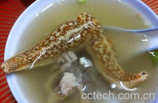海星煲汤的做法与功效-0