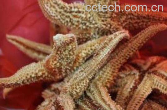 海星泡酒的功效与作用-0