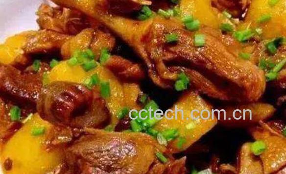 鸭子怎么做好吃 好吃鸭子的家常做法-0