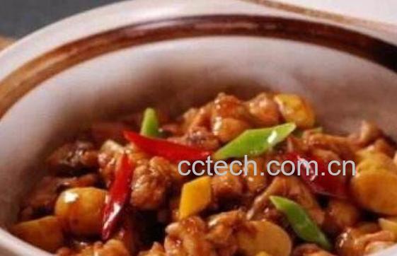 鸡肉怎么做好吃 鸡肉的做法技巧-1